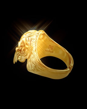 NUWA1997 Nuwa1997 X Aerarius “Fangs Decay” rings in silver product view - alternate view